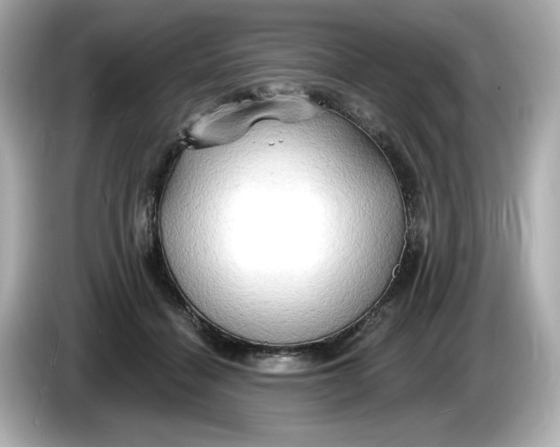 X0000086000460200704091040