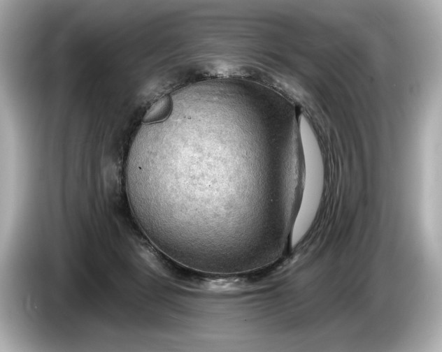 X0000086000461200704091040