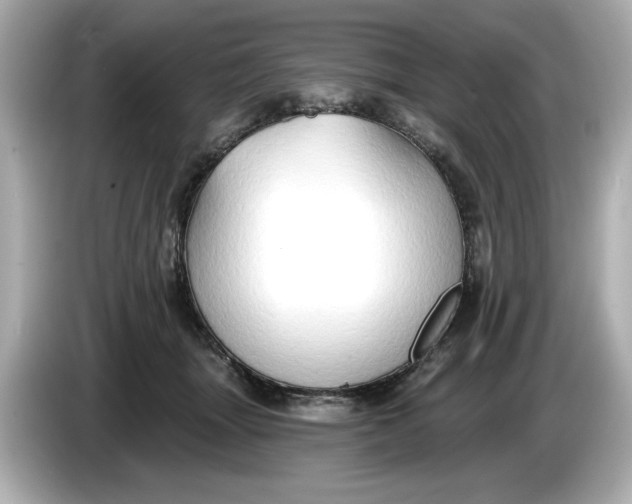 X0000086000463200704091040