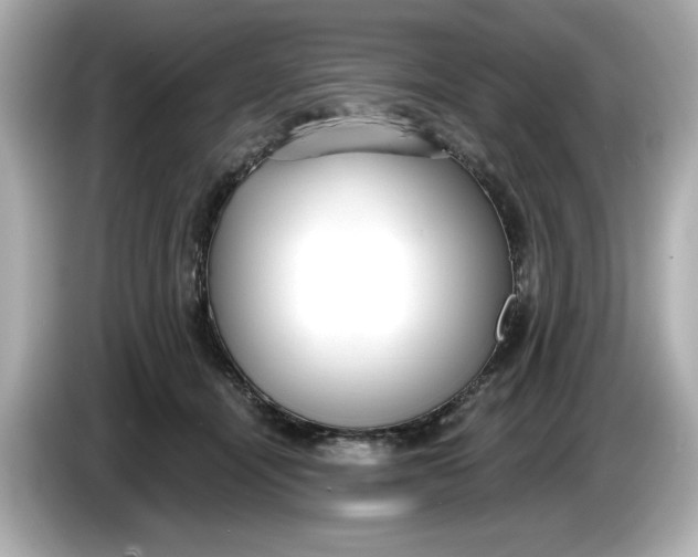 X0000086000464200704091041