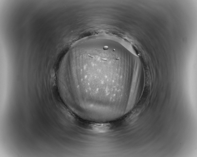 X0000086000465200704091041