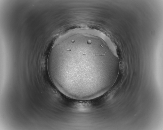 X0000086000466200704091041