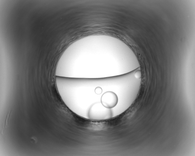 X0000086000469200704091041