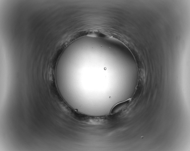 X0000086000470200704091041