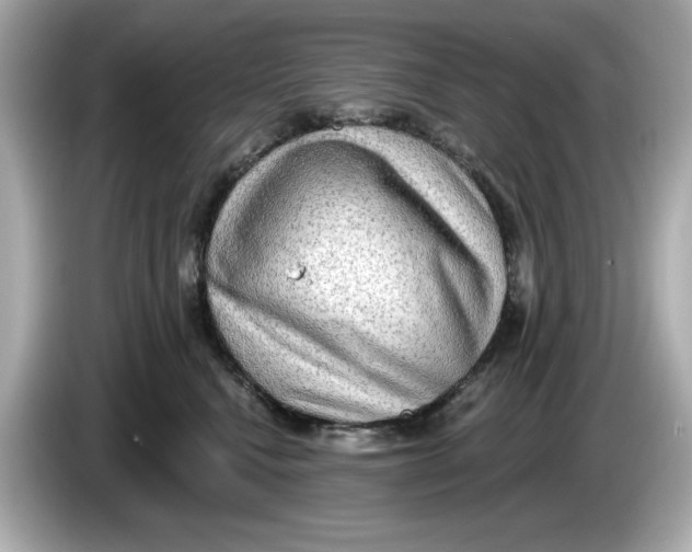 X0000086000472200704091041