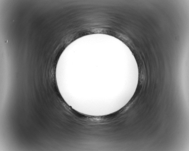 X0000086000473200704091041