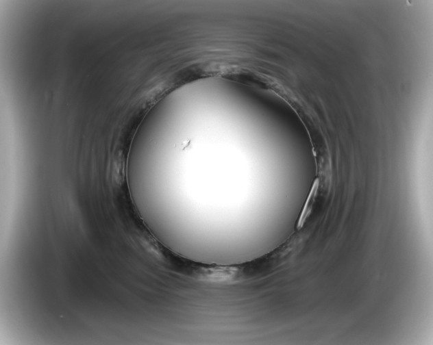 X0000086000474200704091041