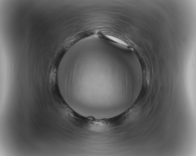 X0000086000475200704091041