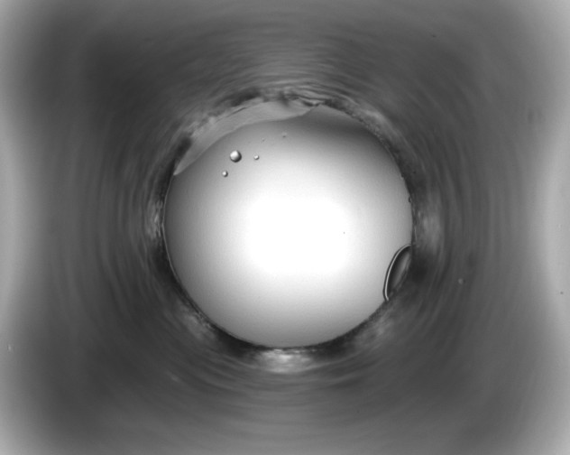 X0000086000477200704091041