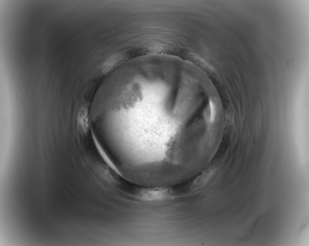 X0000086000479200704091041