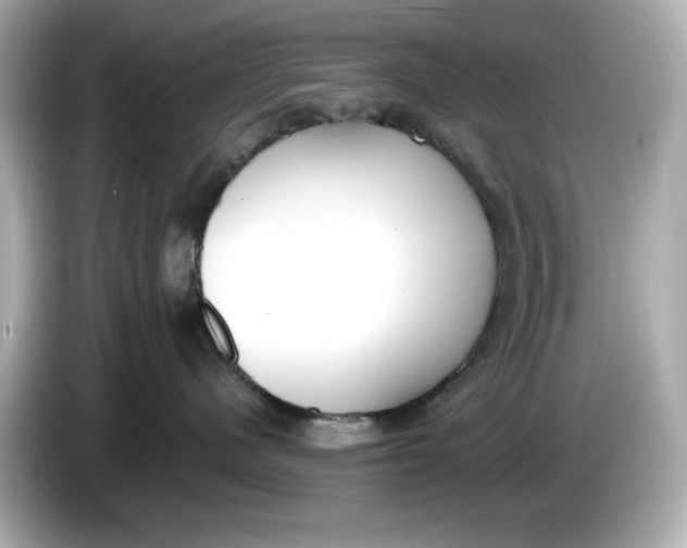 X0000086000480200704091041