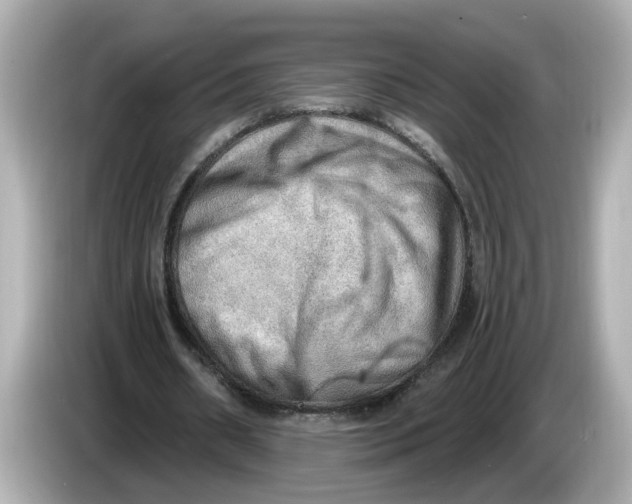 X0000086000482200704091040