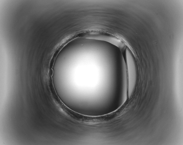 X0000086000485200704091040