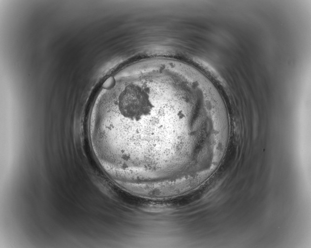 X0000086000487200704091040