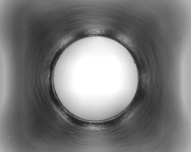 X0000086000490200704091040