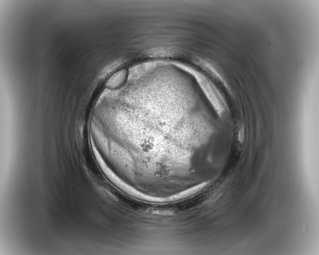 X0000086000491200704091040