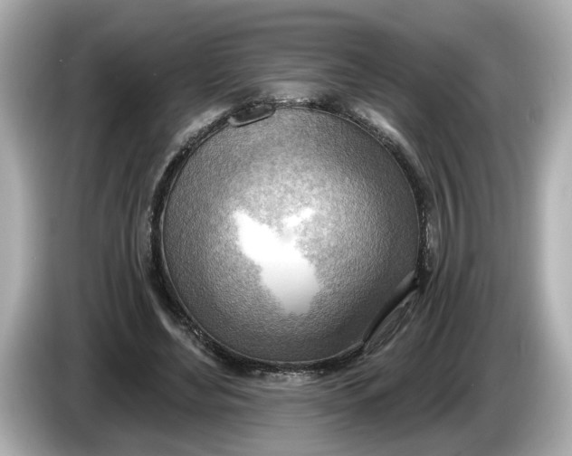 X0000086000492200704091040