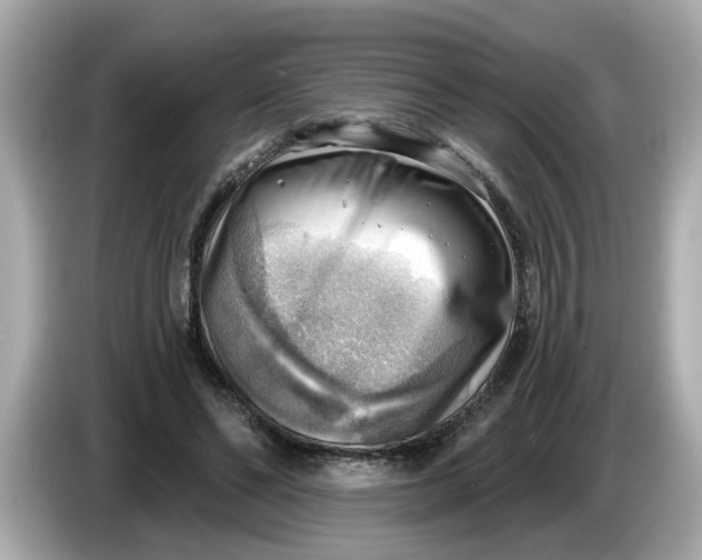 X0000086000494200704091040