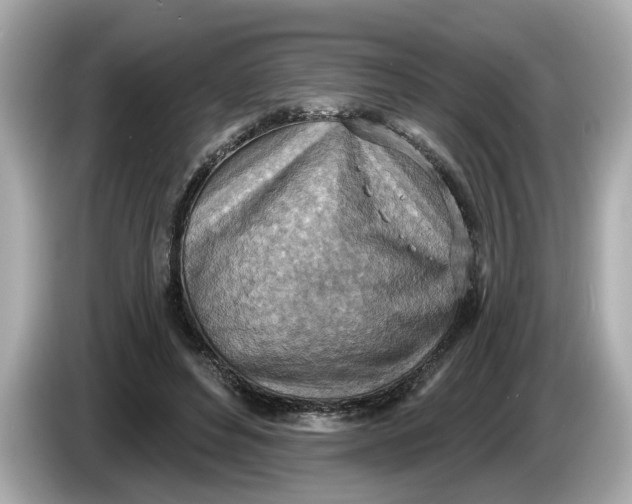 X0000086000496200704091040