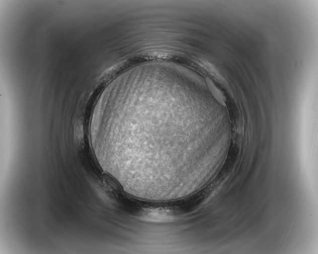 X0000086000500200704091040