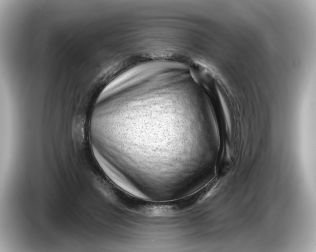 X0000086000501200704091040