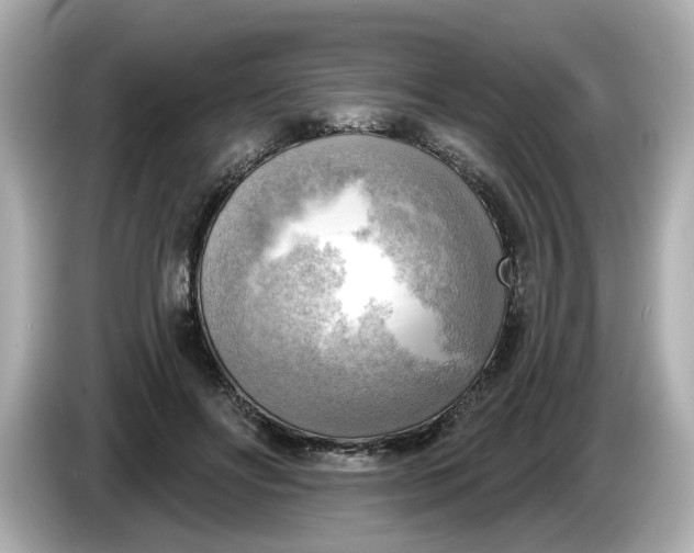 X0000086000502200704091040