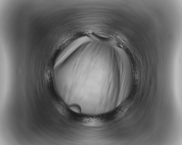 X0000086000503200704091040