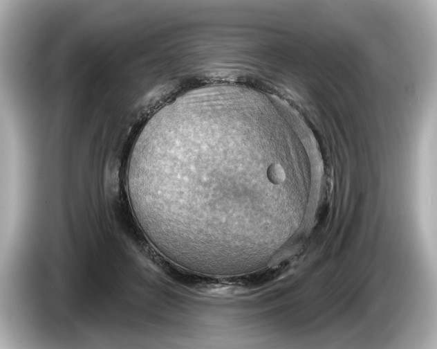 X0000086000504200704091040