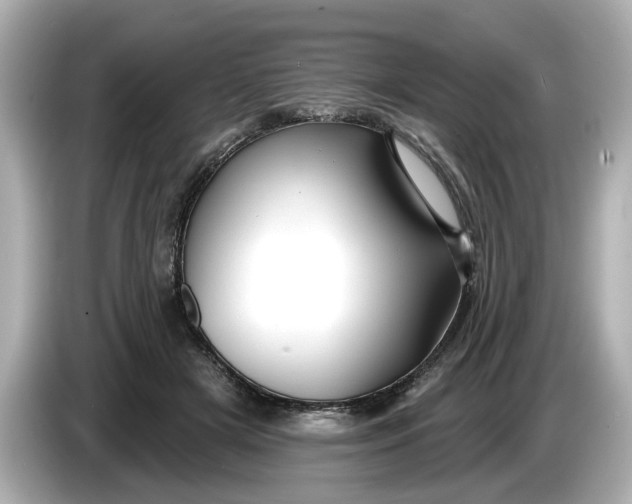 X0000086000505200704091040