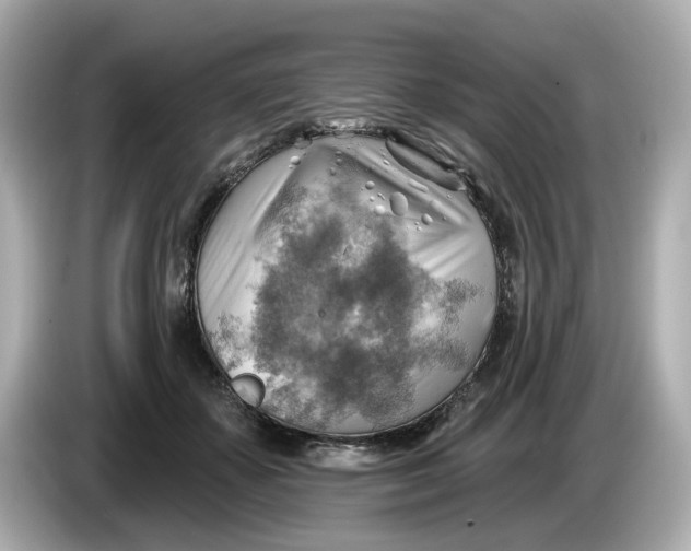 X0000086000507200704091040