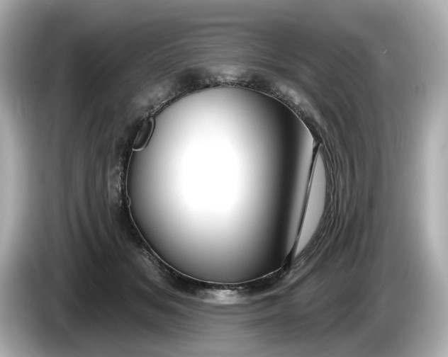 X0000086000509200704091040