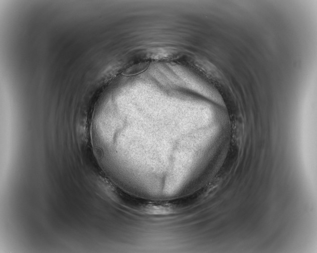 X0000086000510200704091040