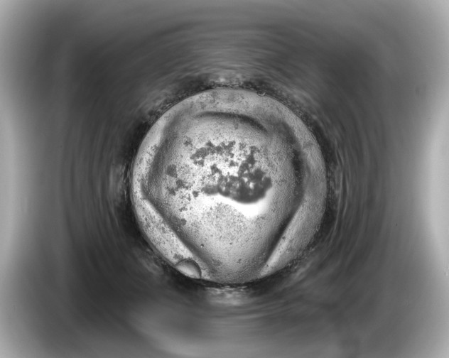 X0000086000511200704091040