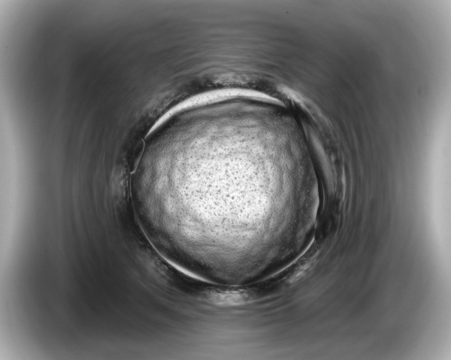 X0000086000513200704091040