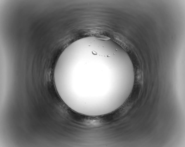 X0000086000514200704091040