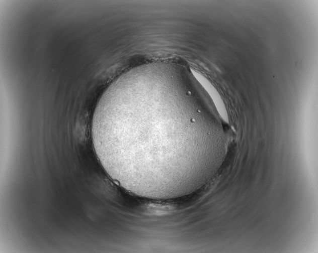 X0000086000515200704091040