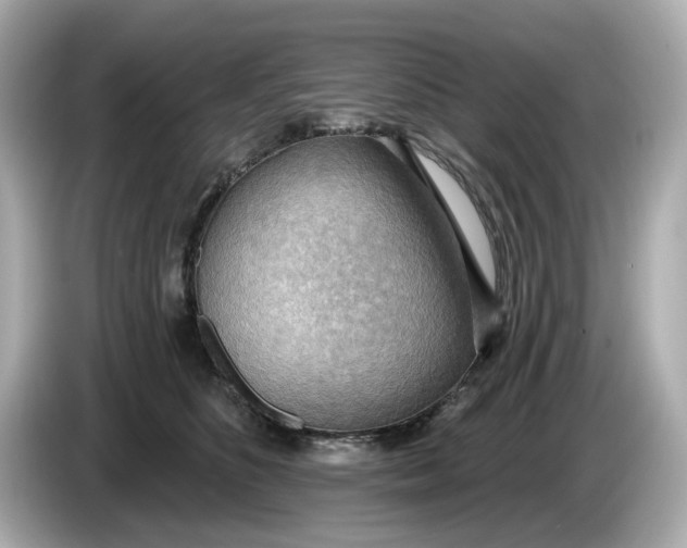 X0000086000516200704091040