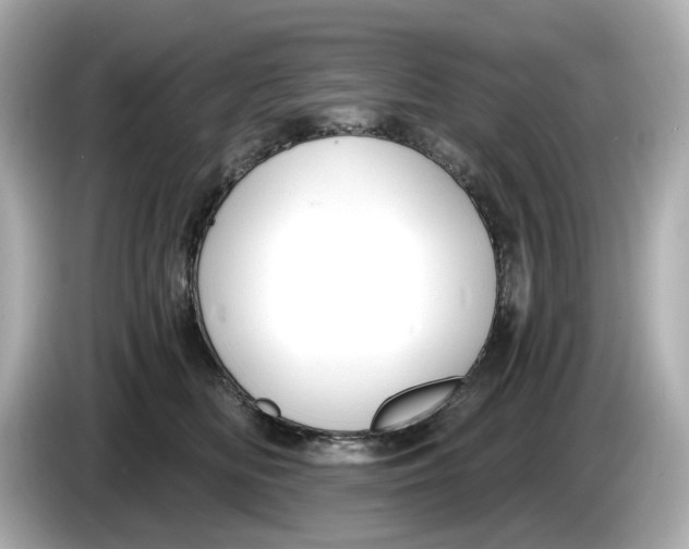 X0000086000518200704091040