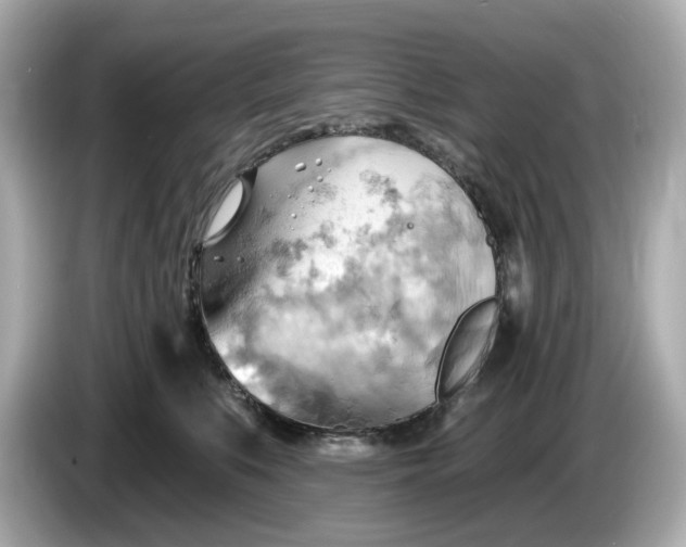 X0000086000519200704091040