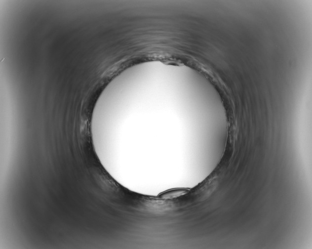 X0000086000521200704091040