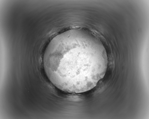 X0000086000523200704091040