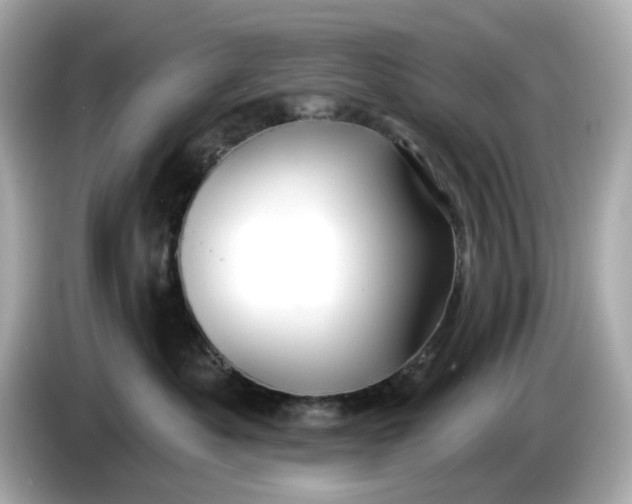 X0000086000525200704091040