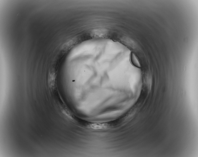 X0000086000526200704091040