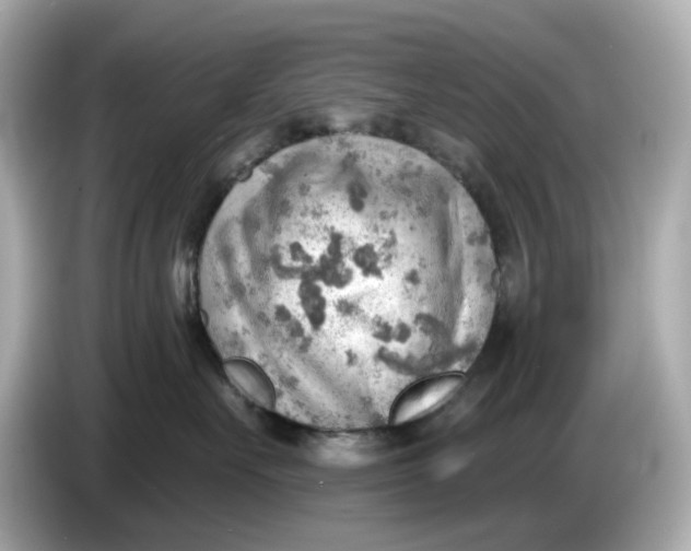 X0000086000527200704091040