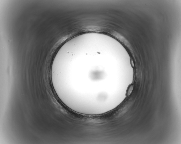 X0000086000529200704091039