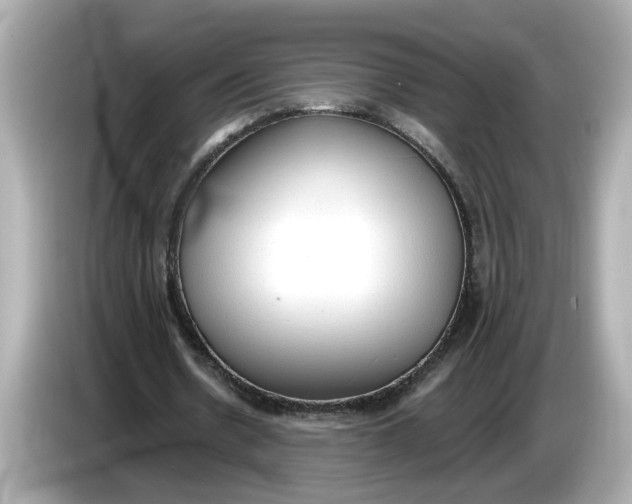 X0000086000530200704091039