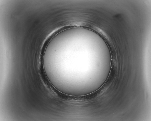 X0000086000532200704091039