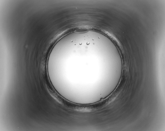 X0000086000533200704091039