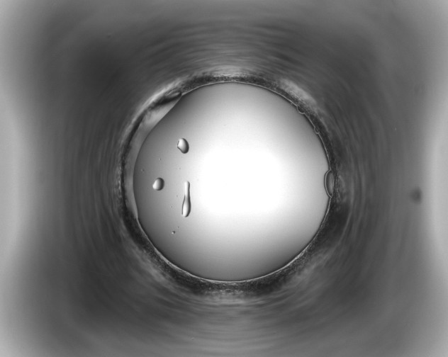 X0000086000535200704091039