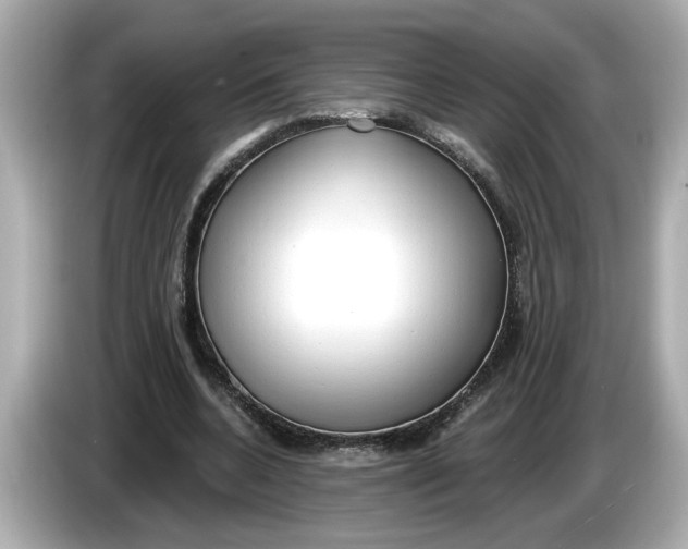 X0000086000536200704091039